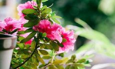 抬头纹深深刻在面相上,男性是否具备抬头纹带来益处?