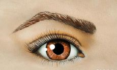 探究女性祥和面相与沉稳体相的秘密,这些特质令女人显得高贵、美丽且富有福气