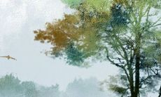 探讨男性发财的秘诀：如何拥有最吉祥的眉毛来助力财运？