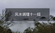 11种有助于改善居室风水的实用技巧和建议