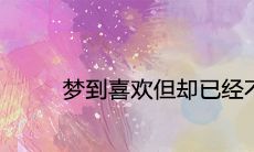 在梦中遇见已不联络的喜欢之人,这象征着怎样的心理寓意?