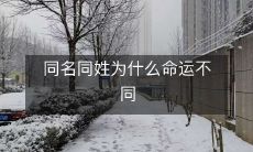 为何同名同姓之人的命运有异?