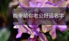 探讨如何为你的丈夫取一个幸运之名,让他命运大转运!