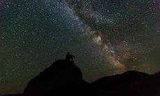 2020年7月星座运势解析:详论巨蟹座人的运势状况与流年趋向