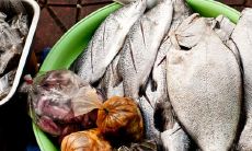 梦境解读:女性在市场购买海鲜的潜在象征意义是什么?