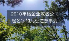 企业或公司在2010年起名时需要注意的几个问题和考虑因素