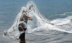 如果梦见在网里捕捞了许多鱼,这可能是什么预示?