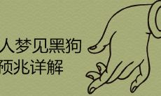 女性在梦中遇到黑色狗犬的意义: 全面解析女性梦中出现黑色狗犬的 众多意义、象征和预兆