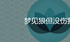 详解梦境中遇见狼没有造成伤害的含义:是吉兆还是凶兆?