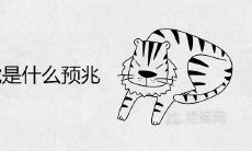梦见自己与老虎搏斗,是否暗示着未来将面临挑战?——探究梦境中打老虎的预兆含义