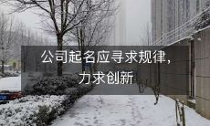 在公司起名过程中,应当谨遵规律并积极探索创新方案