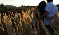 将老石磙放在哪个位置可以更好地起到镇宅作用?