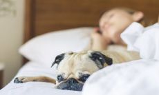 女人梦见春梦醒来之后仍有强烈感觉,这意味着什么?