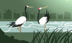 放弃哪些习惯和情绪能够让人在人生的大海中航行自如,如同十二生肖?