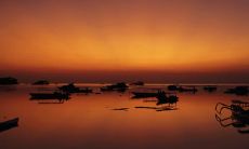 为何许多人在晚间频繁做梦以及可能导致此现象的原因是什么?