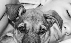 当发生惊醒梦境时,这可能预示了什么?或是如何避免恶梦的小技巧