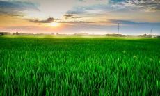 十二星座中,哪些星座总是不放心自己的爱人,需要一直掺和在他们的生活中?