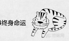属虎男1974长期命运如何,2021年生肖属虎男的财运、事业和感情运如何?