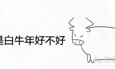 2021白牛年:探究牛宝宝的人生轨迹及命运发展趋势