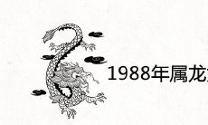 如何描述1988年属龙女的性格和脾气?
