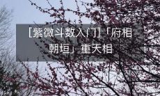 解密:紫微斗数府相朝垣重天相入门指南