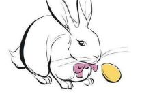 属于1999年的兔子年出生的人,应该戴什么吉祥物来提高运势呢?