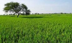 2021年8月安门黄道吉日查询与推荐:精准挑选2021年8月安门最适合开工立业的黄道吉日!