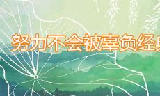 精选的名言佳句:只要努力,就不会白费心血