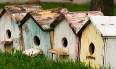 五行缺乏金元素的原因及其对人性格的影响：难以戴金的命运