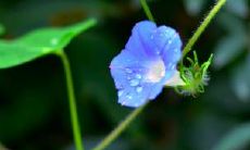 通过巧妙的住宅家具布置，提升你的桃花运：一份完整的指南