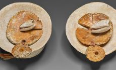 哪些人适合避免佩戴玉饰品，遵循五行学说？