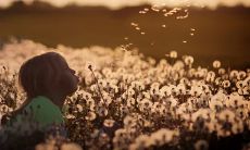 如何选取组合水和木的寓意吉利字命名?