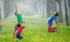 独特的上等时柱，你应该了解哪些特点和属性？