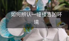 通过哪些指标可以判断一栋建筑物的磁场、气场、地磁场和环境气氛，以评价其吉凶属性？