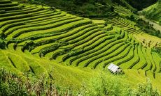 属蛇人和属牛人之间的婚姻是否兼容？一探它们之间的星座配对与幸福指数！