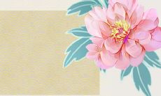 为什么在选择车牌号时需要考虑生辰八字,且不能包含数字0和5?