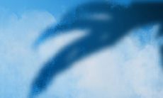 推荐3个数字吉利的车牌号：这些车号最受欢迎！