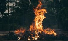 佛眼纹不凡:揭示佛眼纹对命运的影响