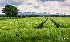 女:从一生最贫困到成为富有的生肖女性