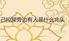 在梦中搭便车：探究梦见拉屎旁边有人的象征意义和可能解读的秘密信号