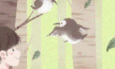 如何通过提升自身魅力与运势来积极化解蛇年12生肖的桃花烦恼?