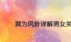 揭秘巽为风卦:深度剖析男女关系、梳理情感命运的全面指南