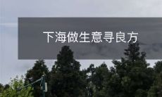 怎样在当今复杂的商业环境中,寻找最佳的下海做生意之良策?