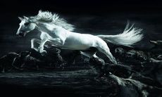 2033年马年，最为不幸的女生取属马，避开破太岁大劫？