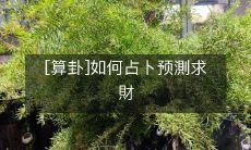 如何利用算卦术进行占卜预测以及获取财富的方法与技巧