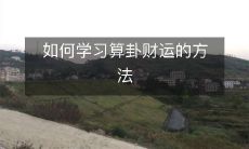 如何掌握算卦财运的技巧和方法,快速提升自身的财运能力