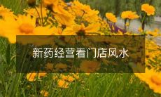 探究新药经营领域的门店风水:如何在传统信仰与现代商业之间寻找平衡?