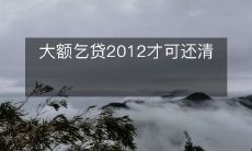 经历了多年艰辛,直到2012年才还清了巨额乞贷款项