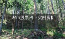 通过示范实例探析上海股市股票占卜的应用与价值