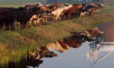 2023年必定开心度过的生肖:出生于牛年的人有幸得到高人助力的神奇之年